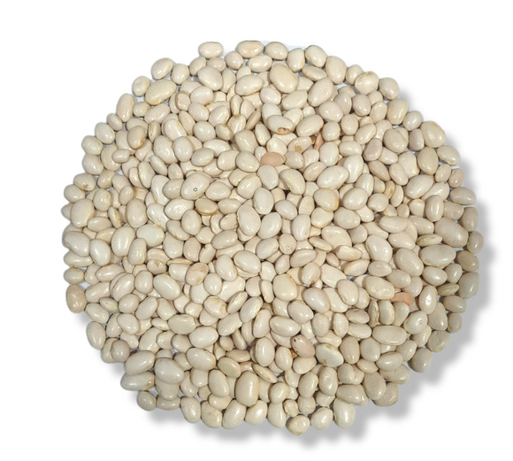 FAVA BRANCA NACIONAL 100g